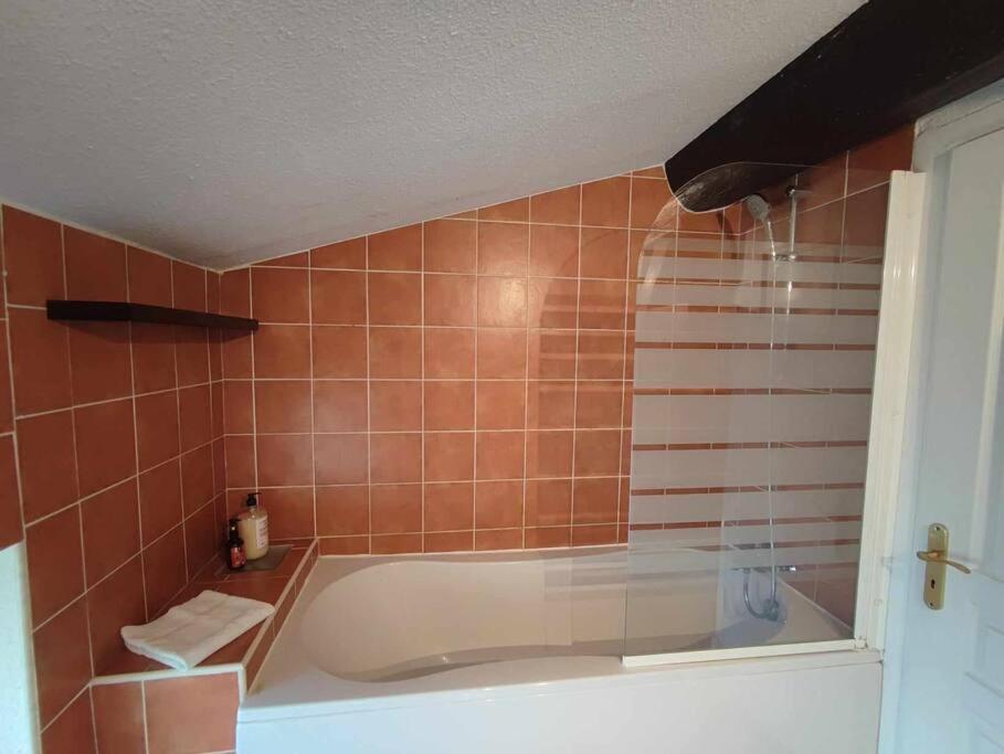 Appartement Charme De Victor Conciergeriedamecarcas à Carcassonne Extérieur photo