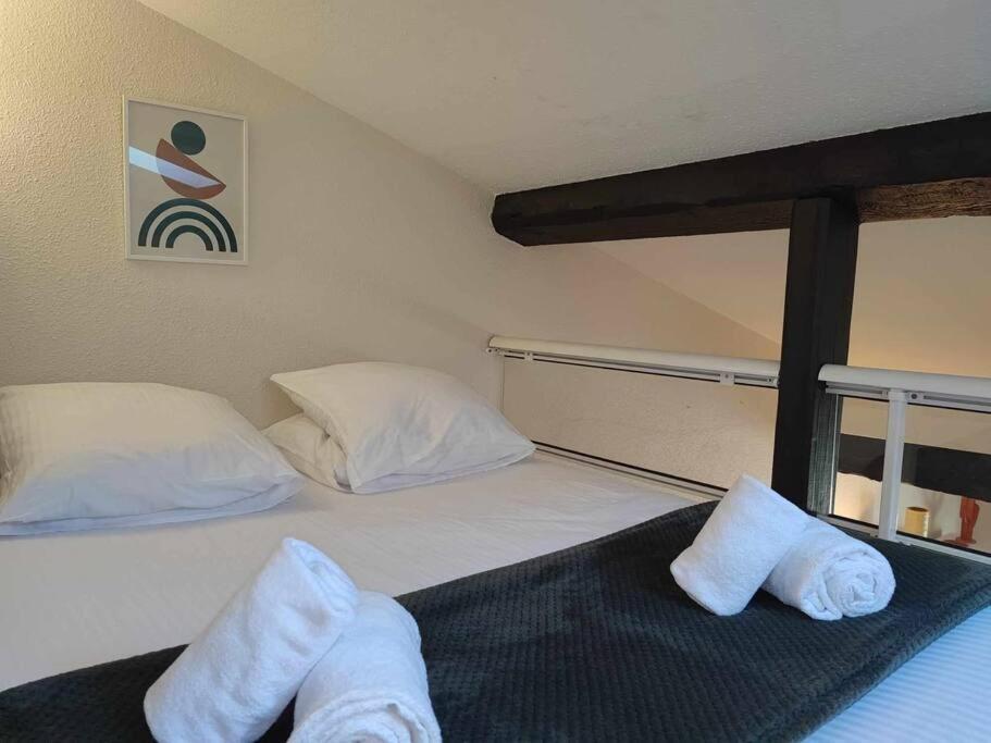 Appartement Charme De Victor Conciergeriedamecarcas à Carcassonne Extérieur photo